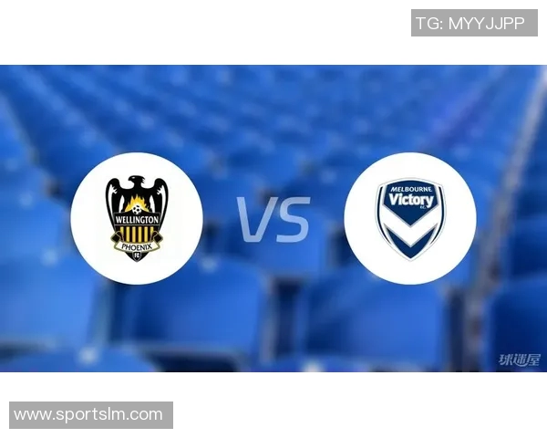 澳超精彩对决惠灵顿凤凰迎战墨尔本城争夺胜利荣耀